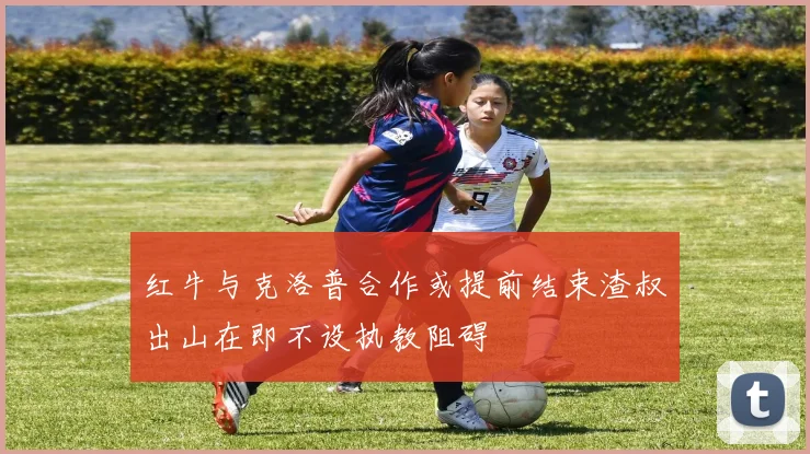 红牛与克洛普合作或提前结束渣叔出山在即不设执教阻碍