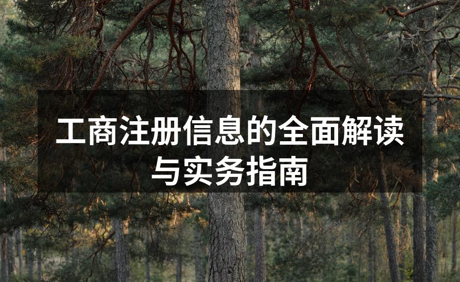 工商注册信息的全面解读与实务指南